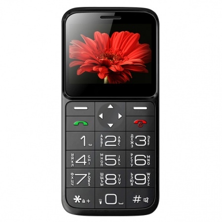 Кнопочный телефон Rony-M322